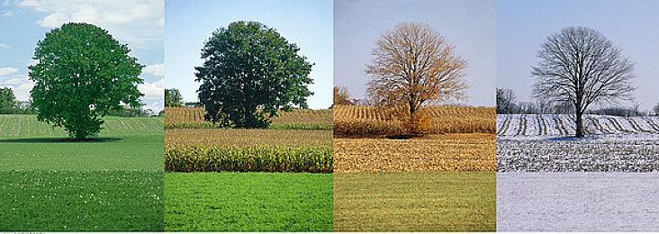 《使命召唤：战区》开发者承认：搞砸了，游戏现状稀烂