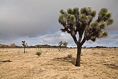 回合制战棋游戏《三国志HEROES》公布 将于明年推出